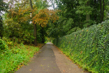 path in the park
