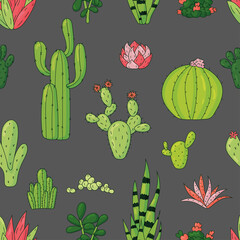 Seamless pattern of cactus. Variants of different cacti on grey background. Hand drawn vector illustration. Backdrop for wallpaper, textile, fabric, wrapping