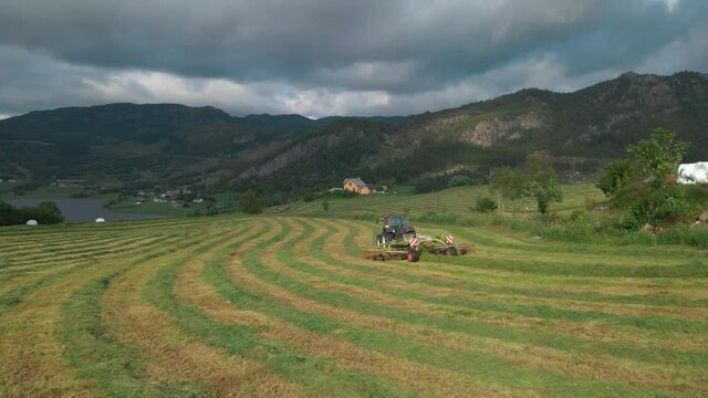 Tractor-drawn Grass Turner Working On Windrowed Grass At The Field In Norway With Overcast. wide drone