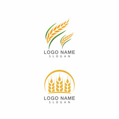 Agriculture wheat vector icon design