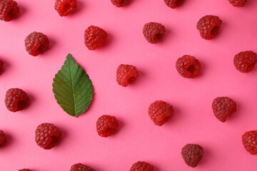 Flat lay composition with red juicy raspberries and leaf on a pink background
