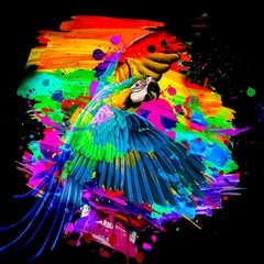 Foto op Plexiglas abstract colored parrot with colorful paint splashes on background © reznik_val
