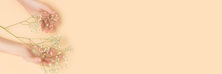 Banner with female hands hold gypsophila flower on a beige background. Delicate composition with...
