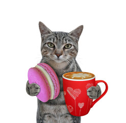 A gray cat holds a red cup of coffee and a macaron. White background. Isolated.