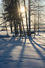 winter landscape with snow, sun, blue sky and snowy trees