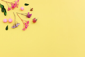 Top view image of pink, purple and green flowers composition over pastel yellow background .Flat lay