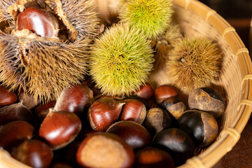 秋の味覚・ザルに入れられたイガ栗（左）