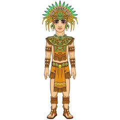 Animation portrait of the man in a dress of the Native American Indian. Full growth. Vector illustration isolated on a white background.