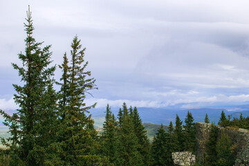 View on mountains landscape with fir trees on foreground and cloudy sky on background. Ural Mountains, Russia.