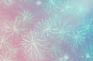 small green Christmas trees in a blur in pink and blue tinted with particles