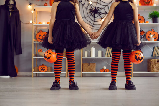 Children dressed up for Halloween. Kids in costumes go trick or treating with orange pumpkin baskets. Two cute girls in black tulle skirts and striped witch stockings holding hands, low section shot
