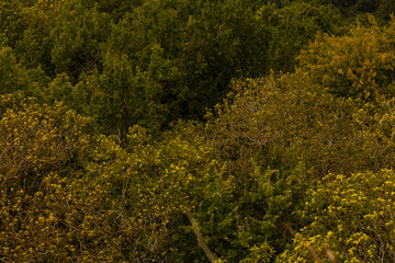 Paysage Aveyron Occitanie