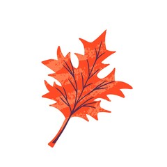 Modern autumn trendy icon of falling oak leaves, maple. Scrapbook collection of fall season elements. Flat natural vector illustration with floral for advertisement, promotion