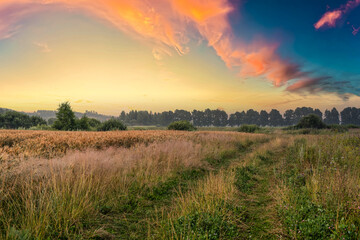 A scenic view on sunrise with a road leading into the distance, rye field and trees in the background. Bright colorful clouds lit by the rising sun.
