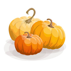 Vector image of three pumpkins Isolated on white background. Concept. Vegetable. Cartoon. EPS 10