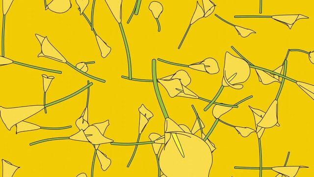 Yellow calla lily flowers on yellow background.
Toon style loopable animation for background.
