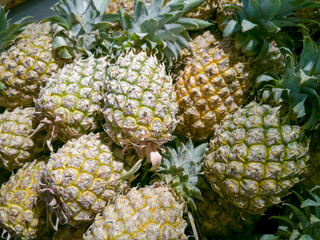 High angle. Yellow ripe pineapple (Ananas comosus), stacked in bulk, in a supermarket, Bangkok, Thailand.