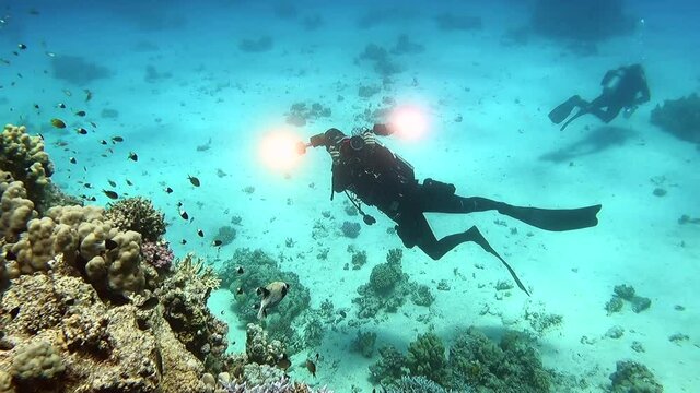 Scuba diver aims underwater photography rig at camera while exploring coral reef