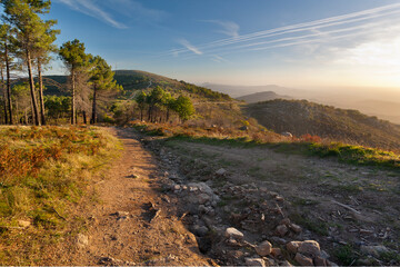 Camino y Cerro Pelados. Guadalajara. España. Europa.