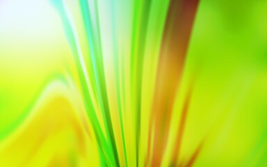 Light Green, Yellow vector glossy abstract layout.