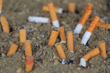 cenicero de arena comunitario con colillas usadas 4M0A6160-as21