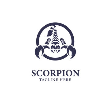 Scorpion Logo that looks fierce and strong, related to the Event or Company Theme Brand Logo.
