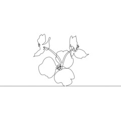 Continuous line drawing of flower, object one line, single line art, vector illustration