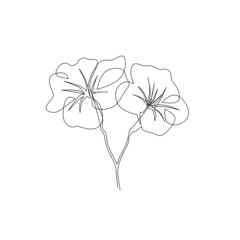 Continuous line drawing of flower, object one line, single line art, vector illustration