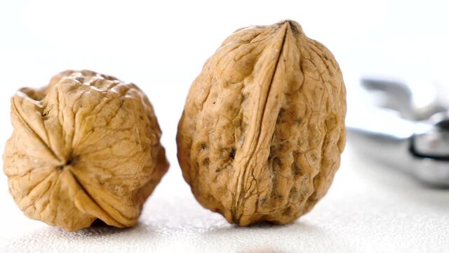 raw walnut and nutcracker