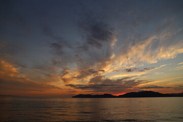 Obraz premium SDGs地球の自然！瀬戸内海の光 『Fall Flowers』