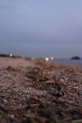 SDGs地球環境！自然と海to ears