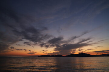 Obraz premium SDGs地球の自然！瀬戸内海の光 『Fall Flowers』