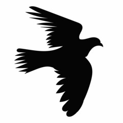 black silhouette bird flies on a white background
