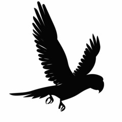 black silhouette of a parrot flies on a white background