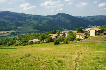 Obraz premium Rural landscape at May in Oltrepo Pavese near Zavattarello