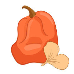 Vector illustration orange pumkin and leaves. Autumn vegetabls.
