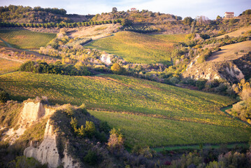 Fototapeta na wymiar Vineyards on hills, agricaltural lands and countriside landscape