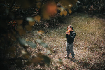 A cheerful boy in the autumn forest eats an apple first grader