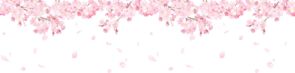 Fototapeta na wymiar 桜と散る花びらの横方向シームレスパターン。水彩イラスト。フレーム装飾。