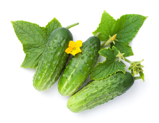 Organic Cucumbers With Leaves And Flowers Composition