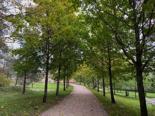 Fototapeta na wymiar alley is in a Helsinki's park