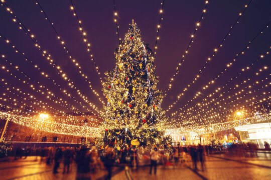 Christmas tree and lights at night on Sophia Square in Kyiv