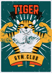 Gym sport club or fitness center typographic vintage grunge poster or emblem design with athletic muscular animal mascot. Tiger bodybuilder. Retro vector illustration.