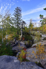Obraz premium A sandstone plateau in the Kamenny Gorod tract (Gremyachinsky district, Russia) is overgrown with young trees