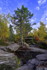 A sandstone plateau in the Kamenny Gorod tract is dissected by deep cracks