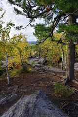 A sandstone plateau in the Kamenny Gorod tract is dissected by deep cracks