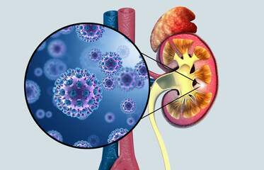 Kidney disease concept. Viral infection. 3d illustration