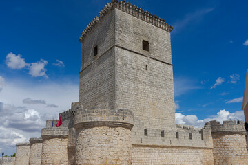 Fototapeta na wymiar Castillo del municipio de Portillo en la provincia de Valladolid, España