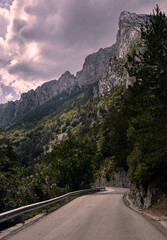 Beautiful road to mountains in the Pyrenees