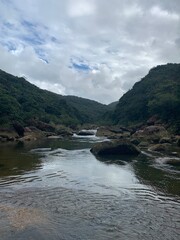 西表島 ジャングル ハイキング 八重山諸島 沖縄県